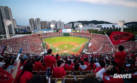 이틀 연속 만원 관중 사직 열기에도ssg 롯데에 6 3 승리 야구·mlb 스포츠 뉴스 한겨레