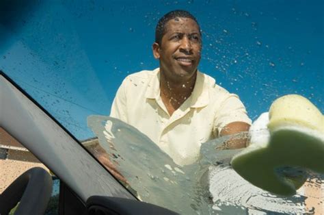 How To Clean Floridian Lovebugs Off Your Cars Windshield The News Wheel