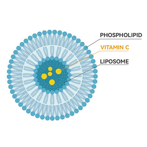 Realipo® C Liposomal Vitamin C In A Superior Liposome Form