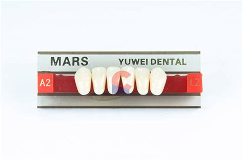 MARS Pontics L2 A2 New Citizens Dental Supply And General Merchandise