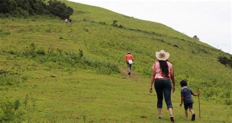 Exploring Coorg's Ample Trekking Trails - Candy Crow