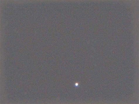 JPEG image of Procyon captured at 9:23 PM on April 18, 2017 | Download ...