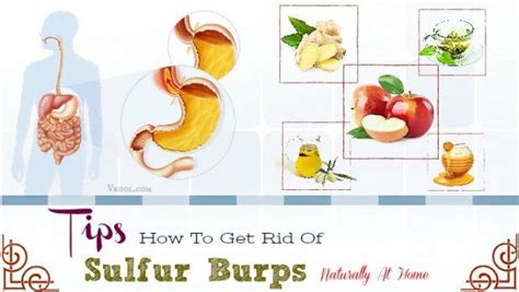 18 Tips How To Get Rid Of Sulfur Burps Naturally At Home