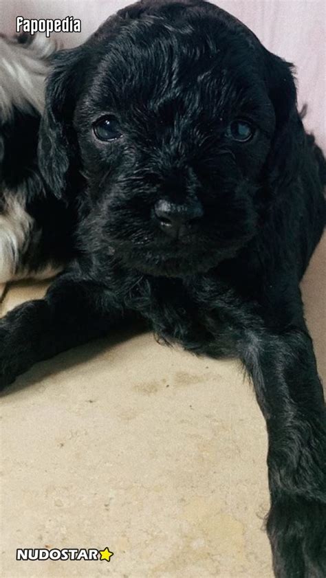 Bethany Lily Nude OnlyFans Leaks Photo 475972 Fapopedia