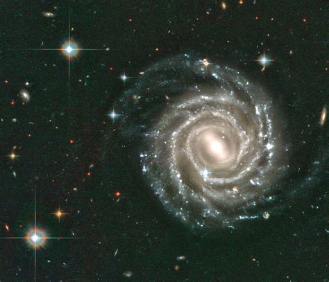 Ngc 2608 Galaxia - Ngc 2903 Wikipedia