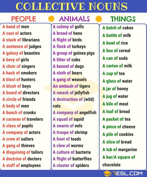 List Of Collective Nouns For Animals People And Things Enjoy The Journey