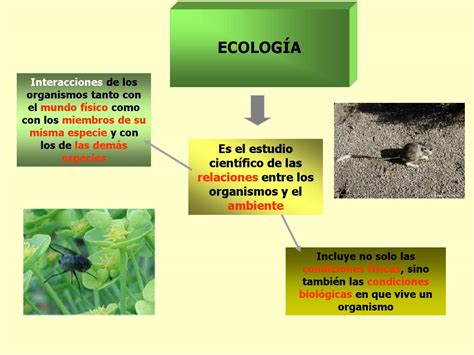 Generalidades de ecologia by Paúl Navarro Issuu