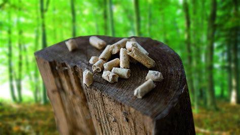 Hybridkessel Kombiniertes Heizen Mit Holz Und Pellets Windhager