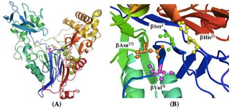 Figure From Design And Expression Of Recombinant Penicillin V And