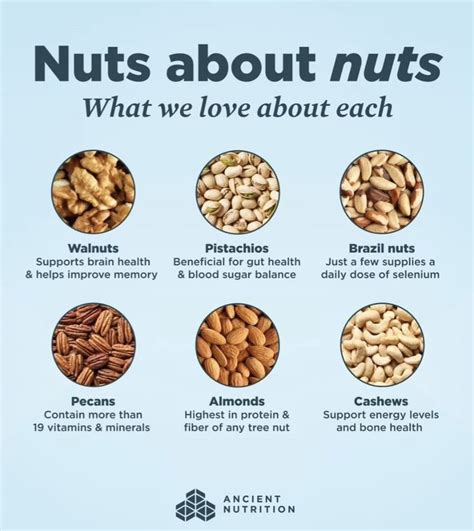 Pin By Amy Plyler On Eats Nuts Seeds In Biology Plants