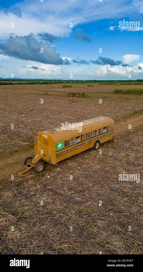 An aerial view of a broken-down yellow bus on a trail through a sugar ...