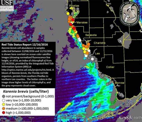 Red Tide Continues To Affect Waters Off Sw Florida Beaches Fox 4 Now