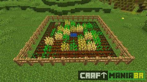 Como Plantar Trigo No Minecraft Dicas E Truques