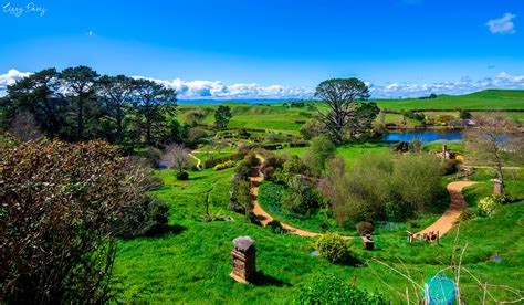 A Magical Experience at Hobbiton: Exploring New Zealand | Lizzy Davis