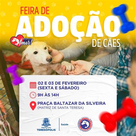 Adote Um Amor Feira De Ado O De C Es Acontece Neste Final De Semana