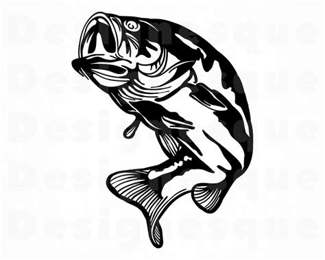 Bass Cricut Fishing Svg Free Svg Png Eps Dxf File