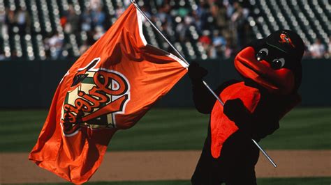 Orioles Mascot