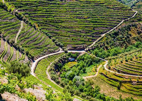 Exploring Douro Valley: 5 Breathtaking Viewpoints - Portugal Magik