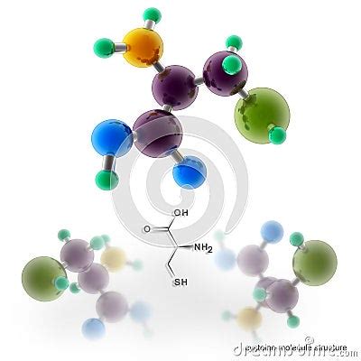 Cysteine Molecule Structure Stock Image | CartoonDealer.com #53039569