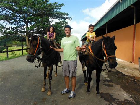 San Juan Puerto Rico Horseback Riding Tour - Puerto Rico Cruise Excursions