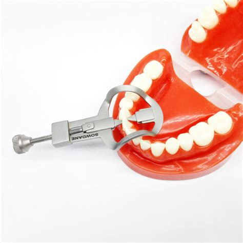 Dental Tooth Divider Retractor Mouth Gag Oral Mouth Opener Separator