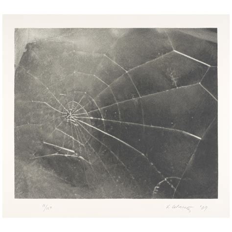 At Auction: Vija Celmins, Vija Celmins (born 1939); Spider Web;