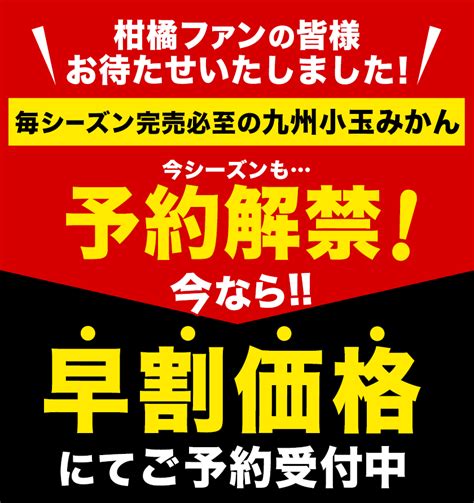 【楽天市場】【今なら早割999円⇒880円】みかん 小玉 訳あり 送料無料 2セット購入で1セット分おまけ増量 柑橘類 柑橘 1セット1kg入