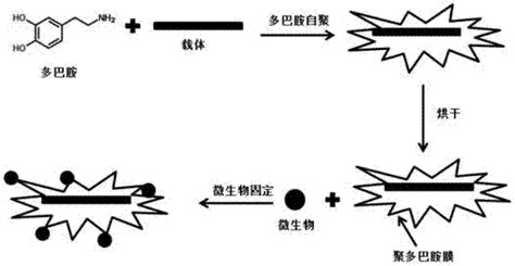 表面附有聚多巴胺亲水层的聚氨酯载体及其制备方法与应用与流程