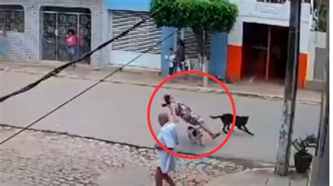 Inacreditável Vídeo flagra mulher sendo atropelada por cachorros assista