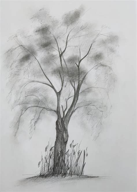 Fine Art Tree Pencil Drawing, Handmade Original Sketch, Realistic ...