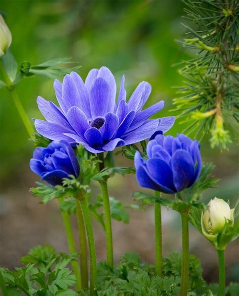 All Seasons Garden Maintenance in Epsom | Leatherhead | Dorking