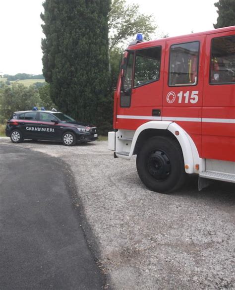 Ancona Pensionato Muore Travolto Dal Trattore