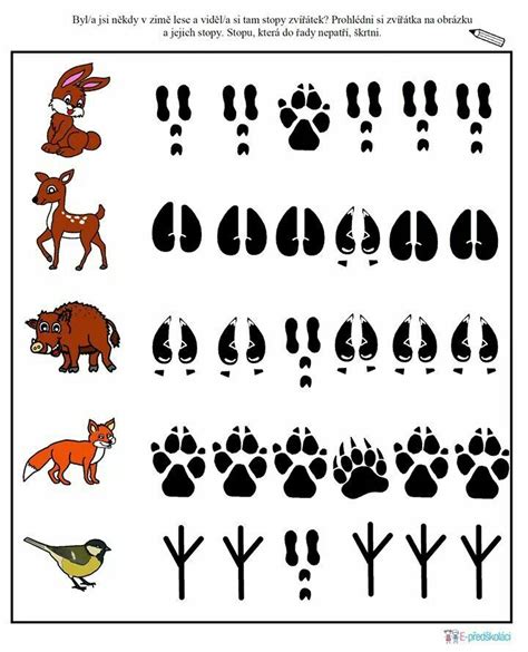 Free printable animal tracks activity page – Artofit