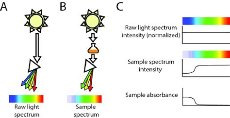 A White Light Passing Through A Prism Triangles Is Spread Into A