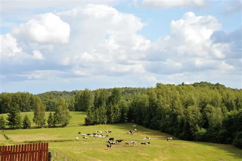 Laureaci XXIX Edycji Konkursu W Kategorii Gospodarstwa Ekologiczne