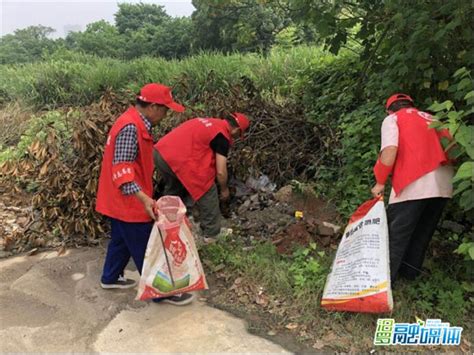 一边走一边拾垃圾，归义“红细胞”出动了！