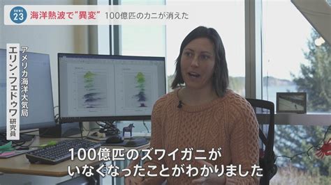 北海道でブリ大漁もアラスカでは100億匹のズワイガニが消えた！「海洋熱波」で食卓に“異変”【news23】 Tbs News Dig 2ページ