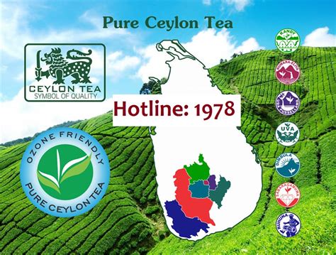 Sri Lanka Tea Board Introduced a Hotline Number