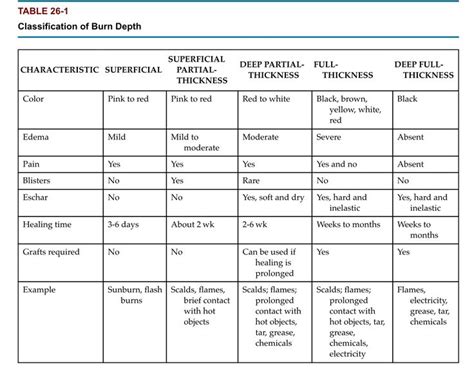 Classification Of Burn Depth Burns Nursing Nurse Brain Sheet