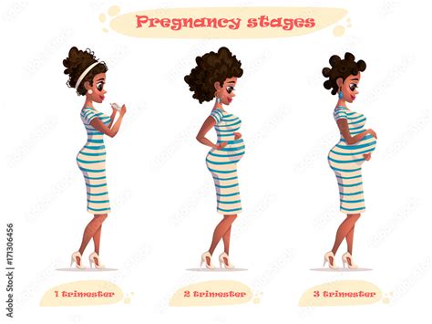 stages of pregnancy vector illustration pregnant woman. african-american pregnant woman. Changes ...