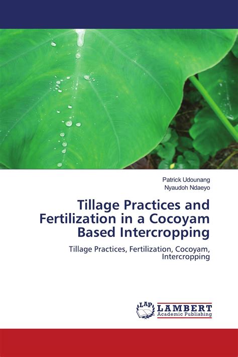 Tillage Practices and Fertilization in a Cocoyam Based Intercropping