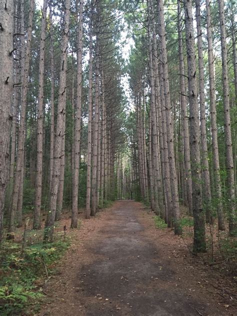 Things To Do with the Kids in Ottawa: 10 Beautiful Walks in Ottawa