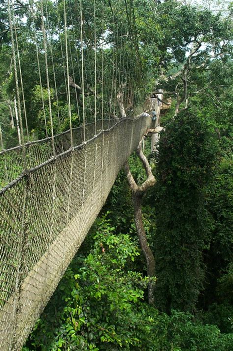 Canopy walk at Kakum National Park - Justinsomnia