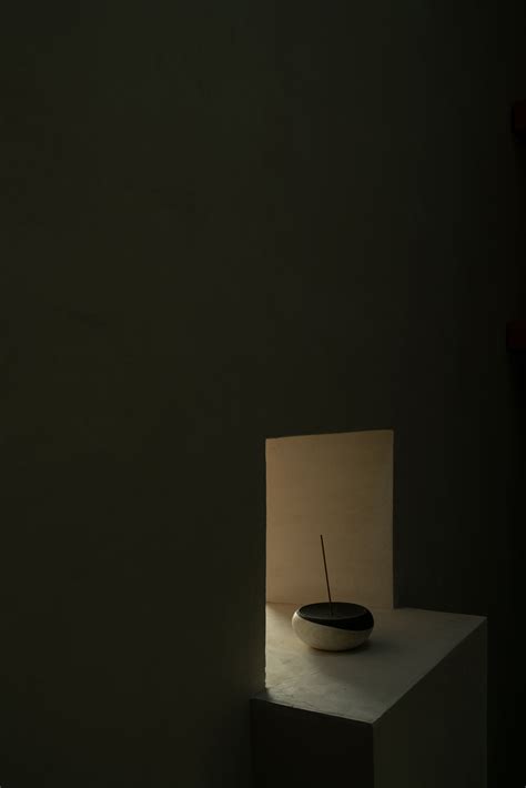 Barrio Grove – Logan Havens