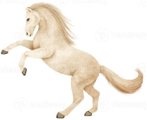 ilustração em aquarela de cavalo branco 9373340 PNG