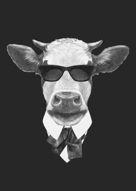 1,100+ Funny Cow Face Drawing Stock Illustrations, Royalty-Free Vector ...