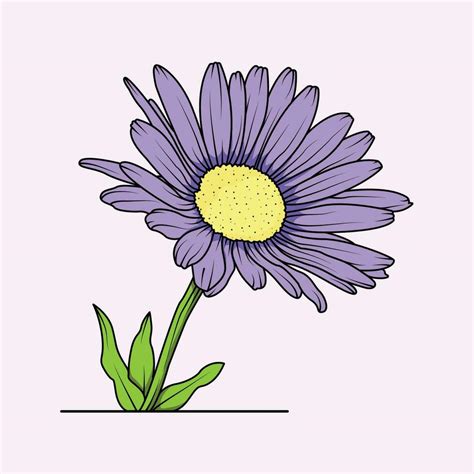 Aster Flower The Illustration 34320817 Vector Art at Vecteezy