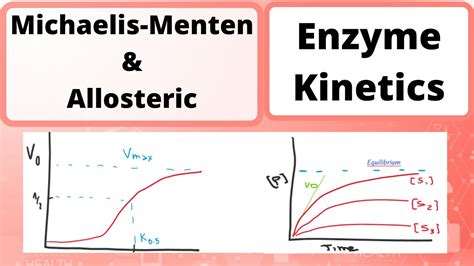 Enzyme Kinetics Biochemistry Michealis Menten Allosteric Youtube