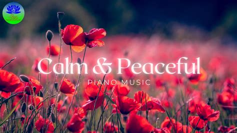 Relaxing Piano and Calm Peaceful Music, Relaxing Piano Music for Stress ...