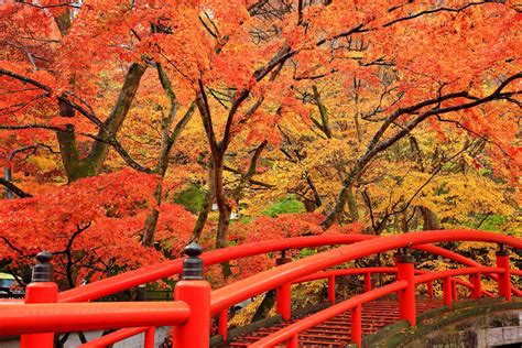 【日本の絶景クイズ】まるで錦絵のような紅葉風景を見られるのはどの都道府県？ All About ニュース